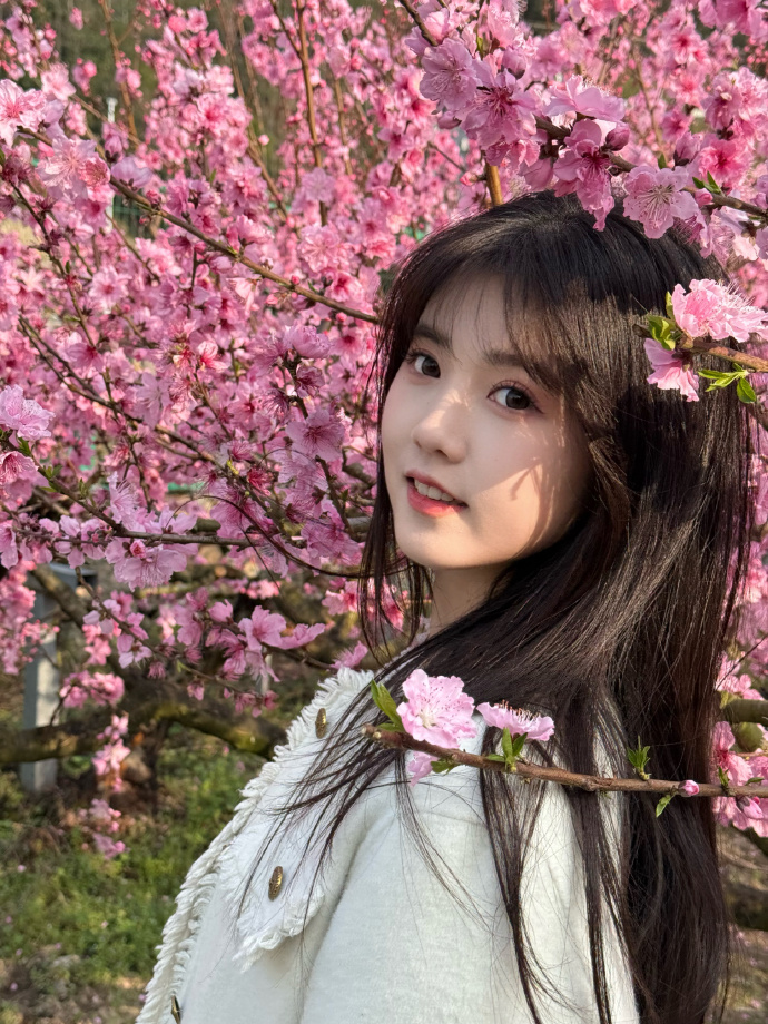 对SEO黑帽技术的风险分析